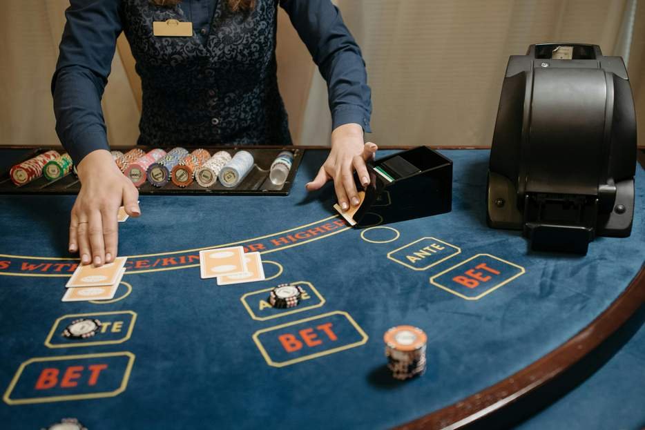 Wildcard casino Wildcard casino